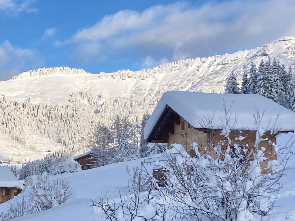 Vue depuis les chalets d'Heidi