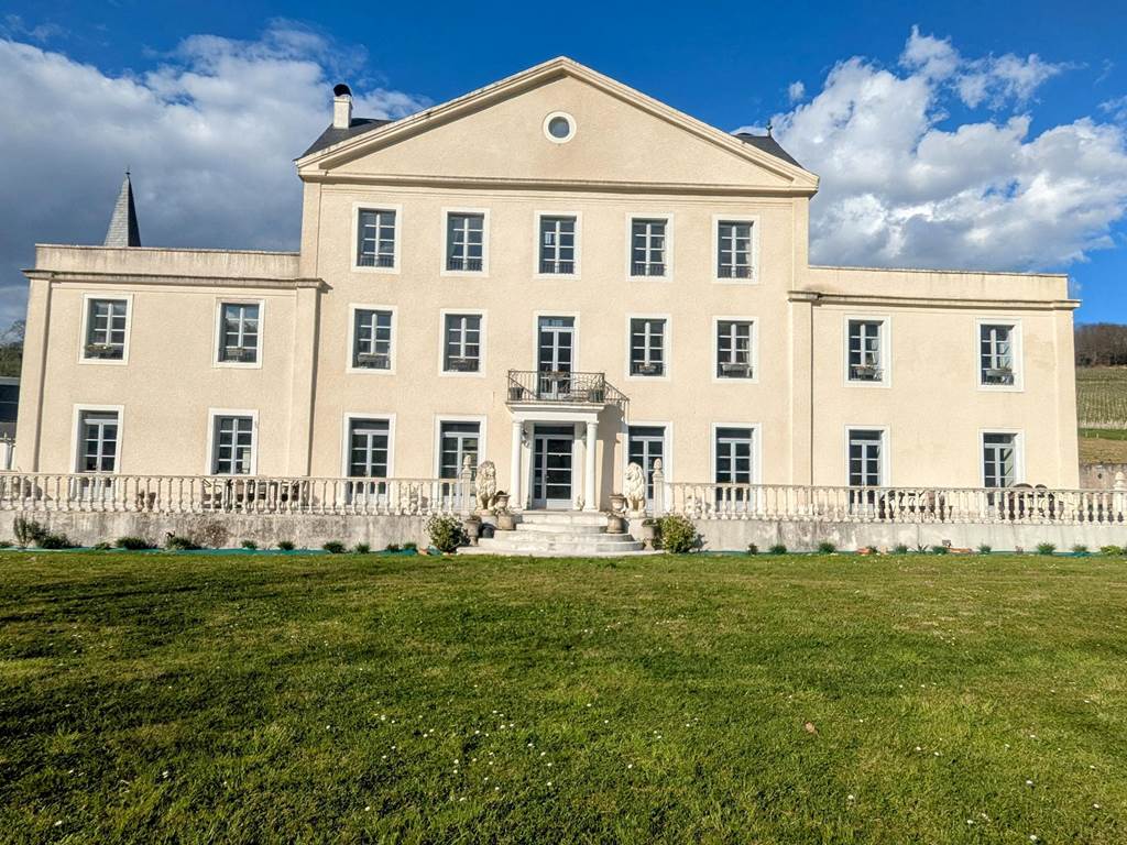Chateau Roquehort Monein - Cambres d'hotes Monein (19)