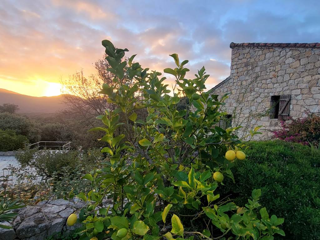 Maison d'hôtes traditionnelle en pierre de taille typique de la Corse du Sud au moment du crépuscule.