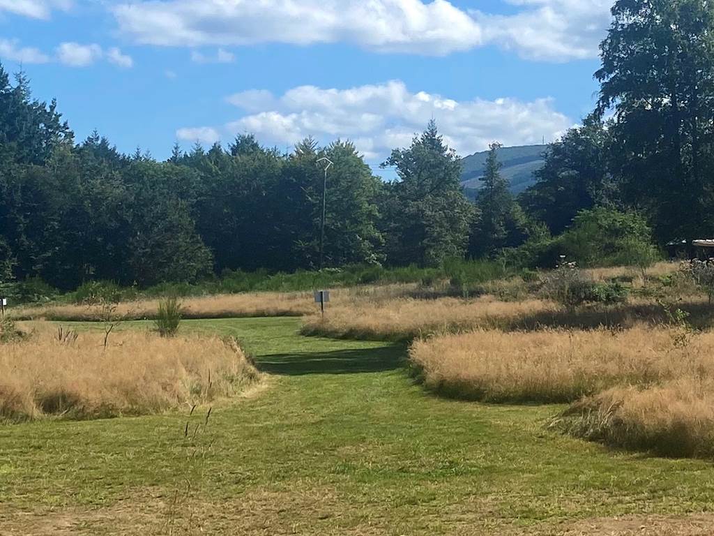 Le Ranch Camping - Campsite