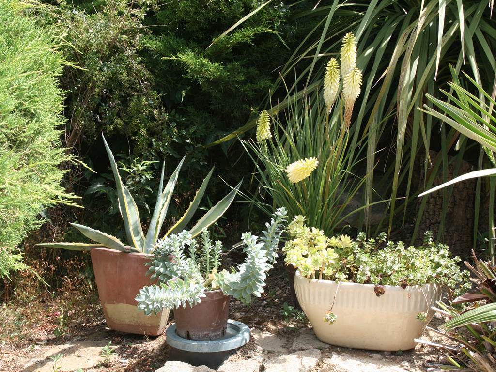 Jardin mediterranéen