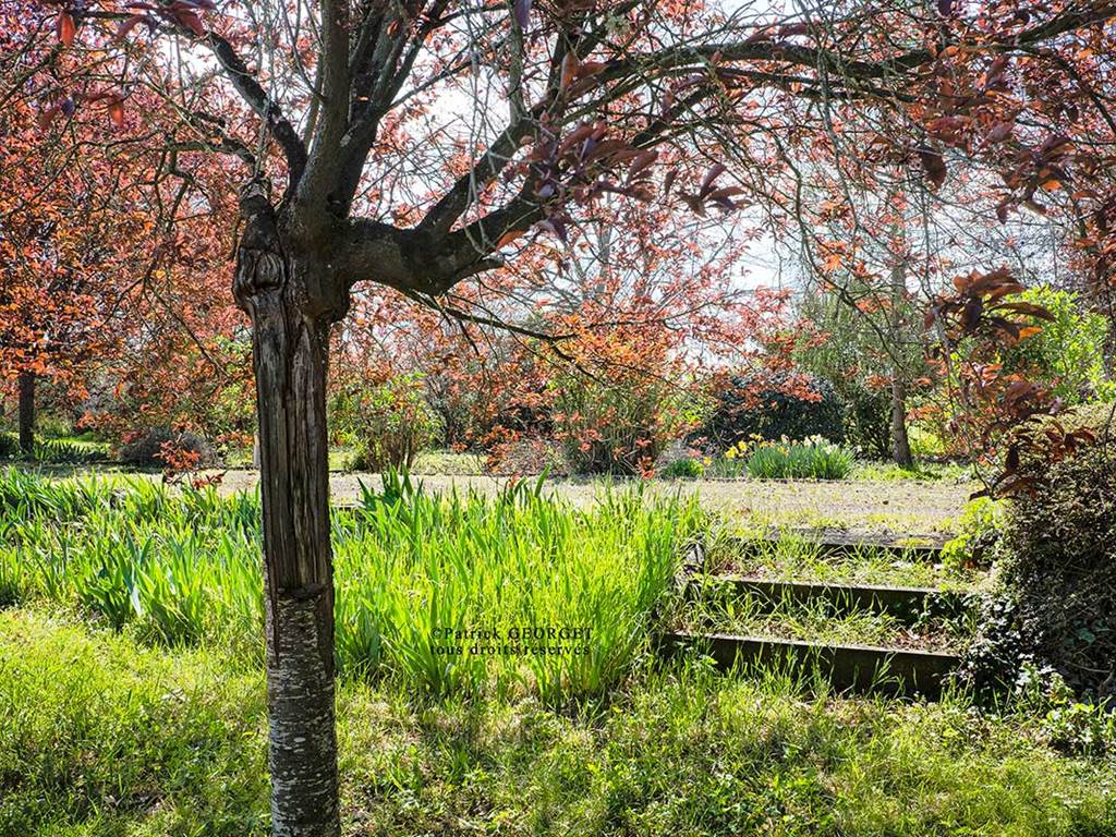 Gîte en Touraine entouré de fleurs et de verdure, idéal pour un séjour au calme en pleine nature.