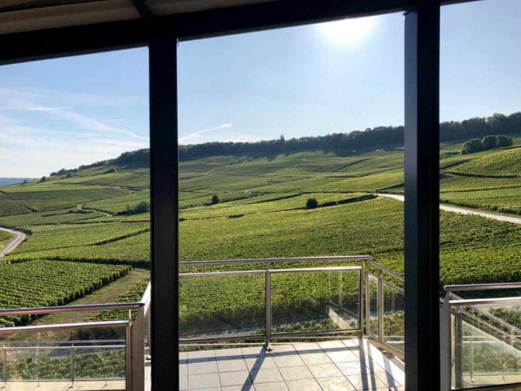 vue sur les vignes au champagne  ARNOULT