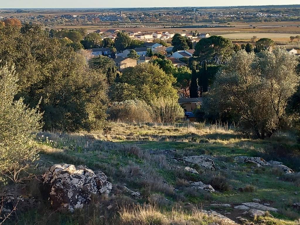 Gîte des Oliviers - Alentours (2)