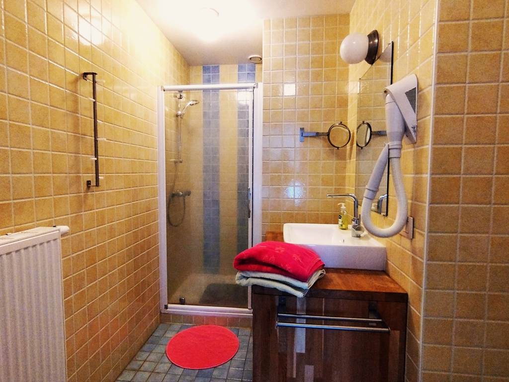 Douche-Lavabo - wc de la chambre Fleurie