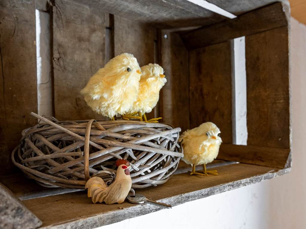 La chambre : Thème le poulailler