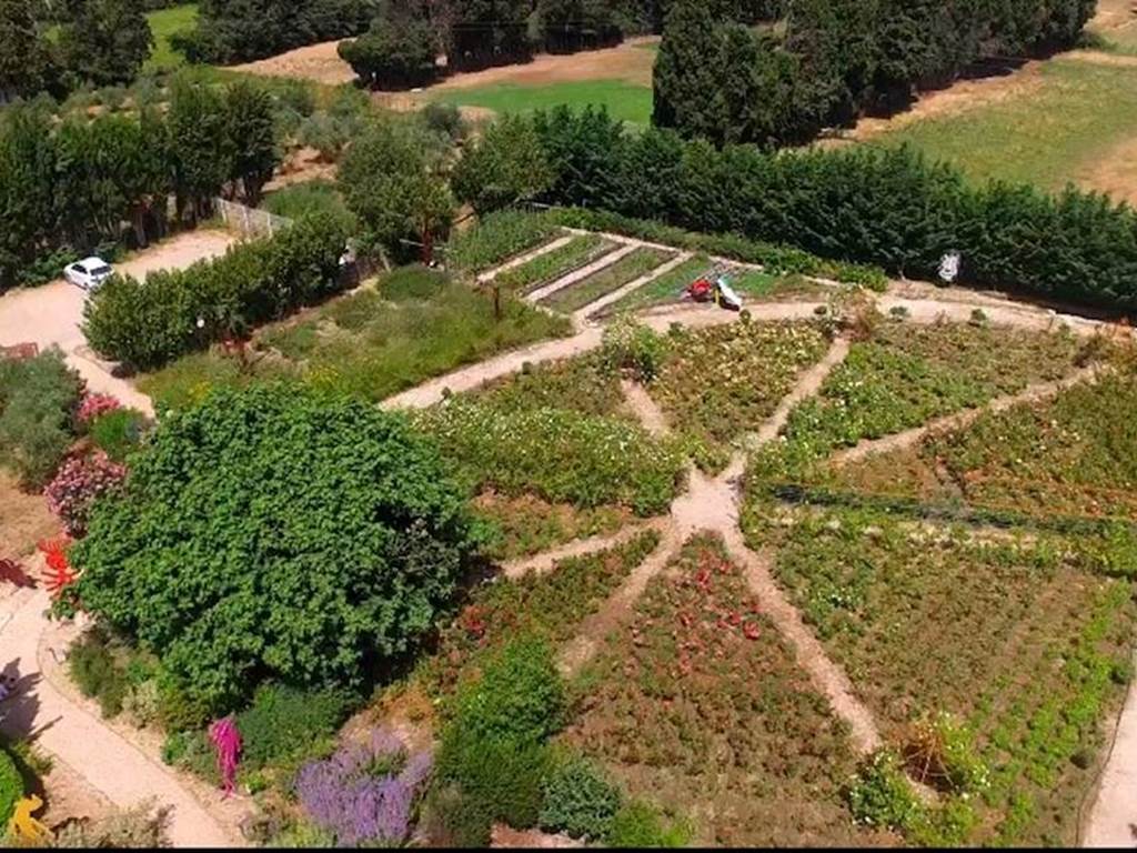 photo aérienne roseraie