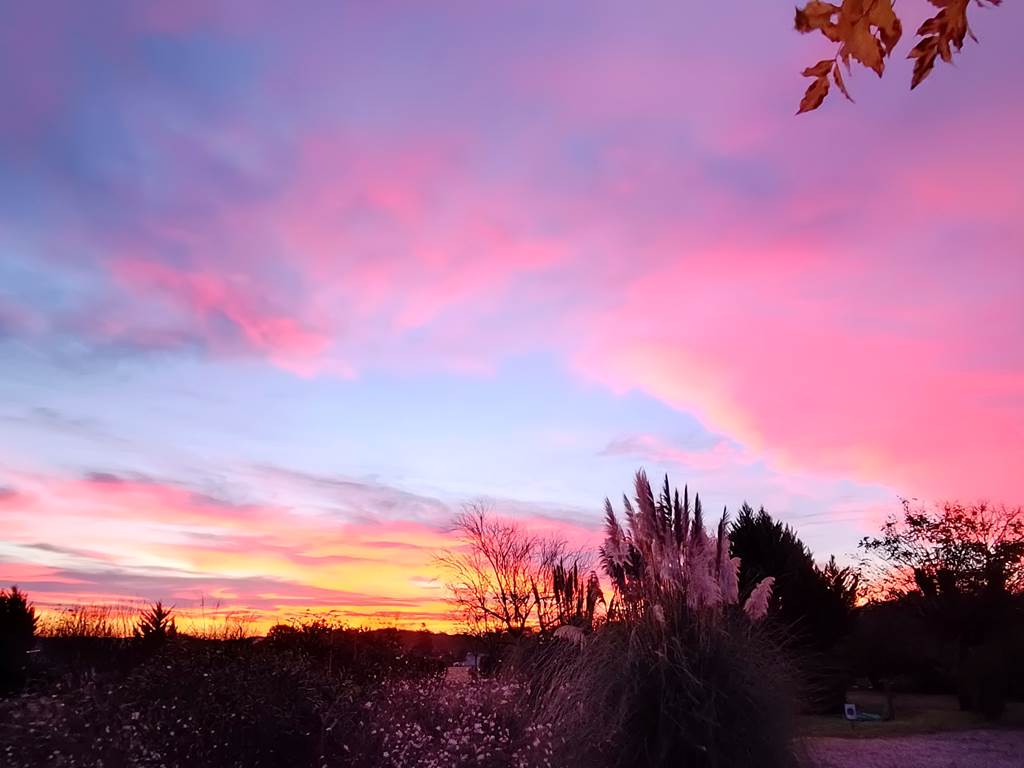 Gîtes, chambre d'hôtes et table d'hôtes gastronomique à Casteljaloux Lot et Garonne, piscine, jacuzzi et spa
