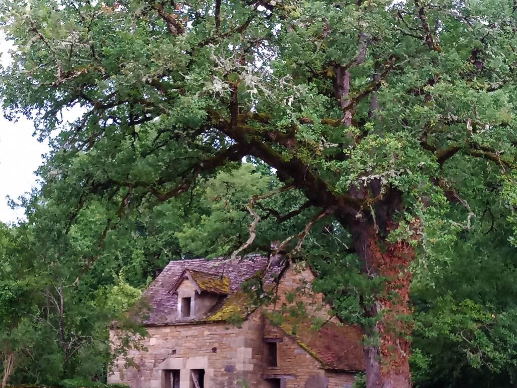 Les Granges de l'Abbaye. Ancienne métairie
