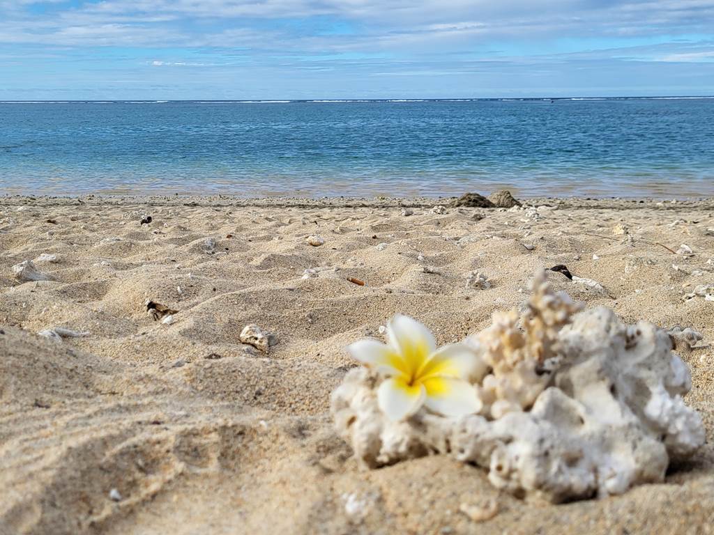 Locations de vacances à la Réunion