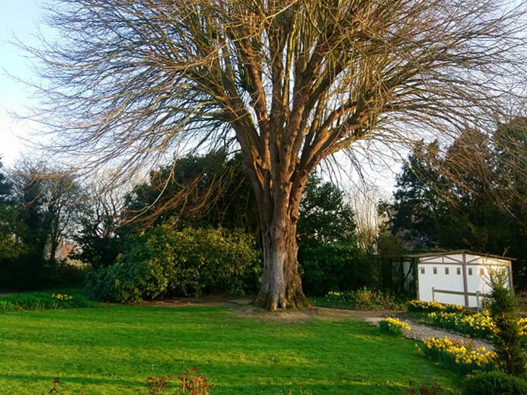 275974842_2070592546451775_7392394116568219009_n