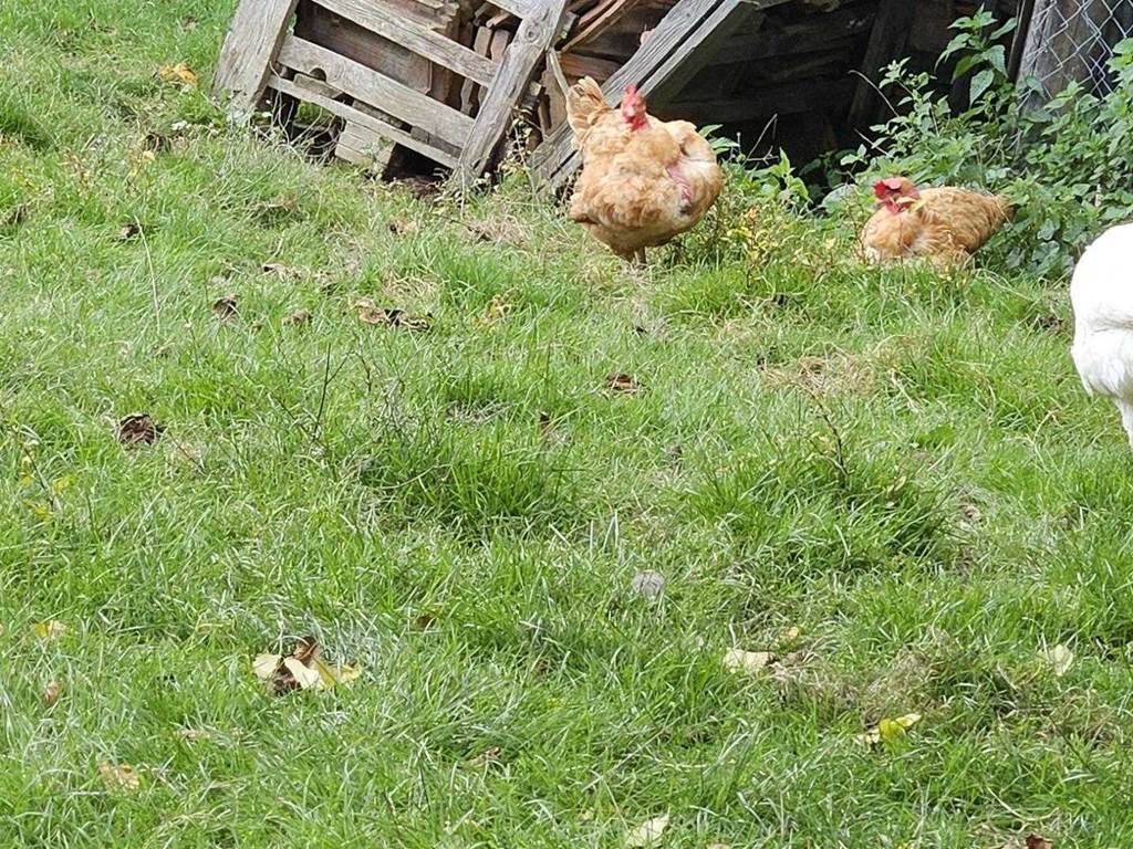 Gîte n°19G3131 "La Maroussie" – SALON LA TOUR