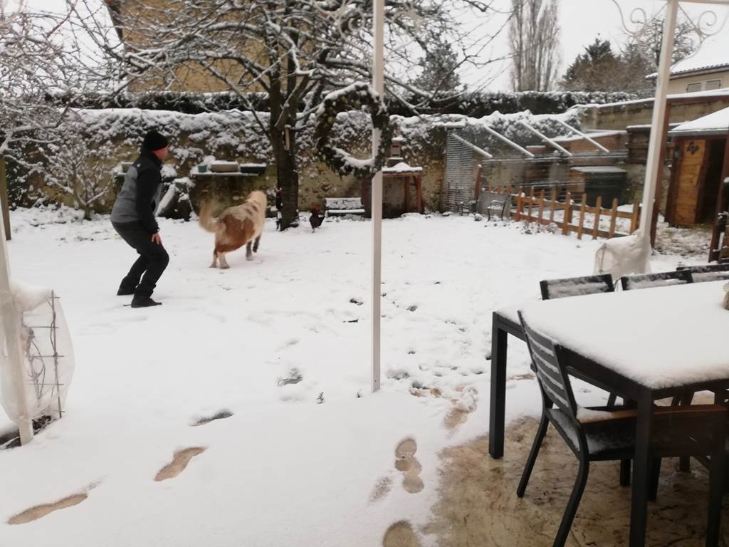 Le jardin