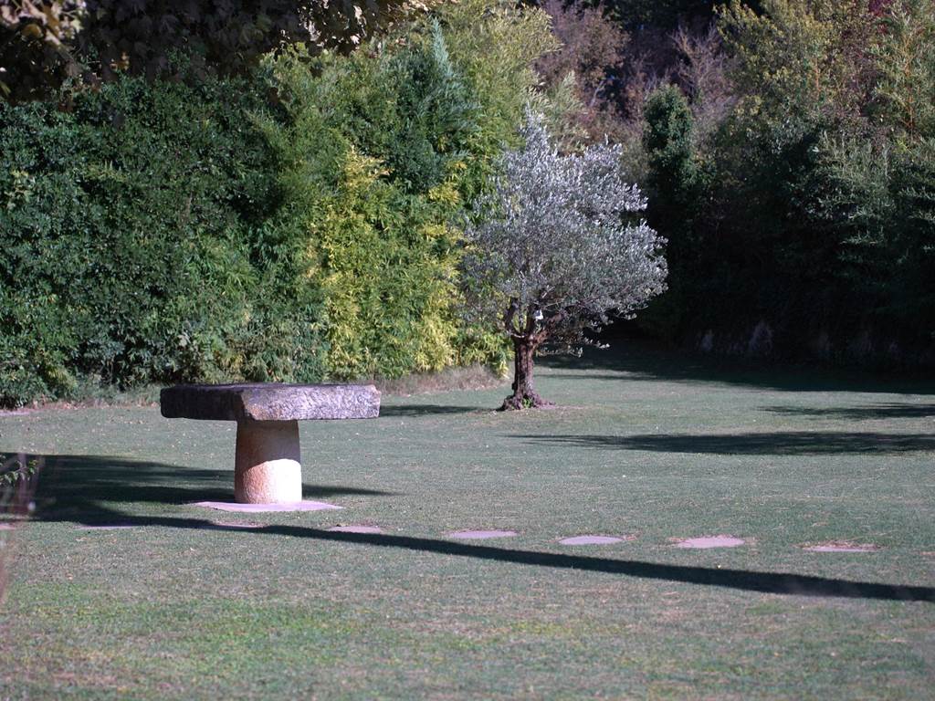 Jardin FullSizeRender