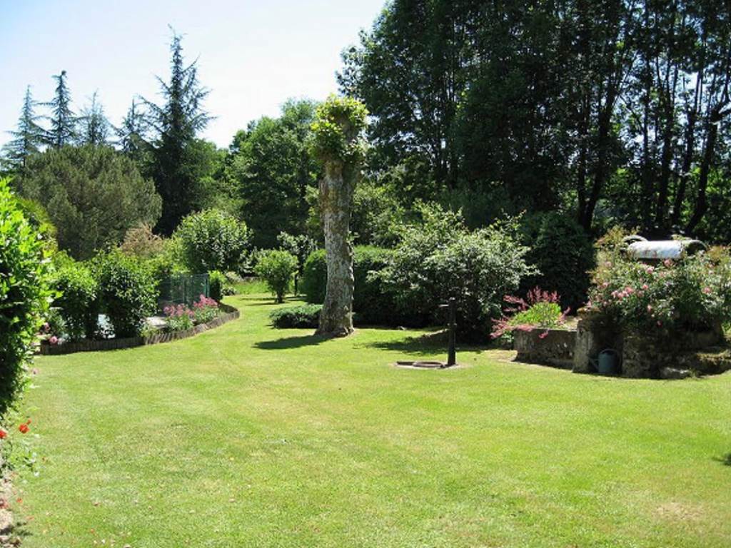 Le jardin en été