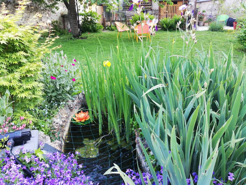Jardin