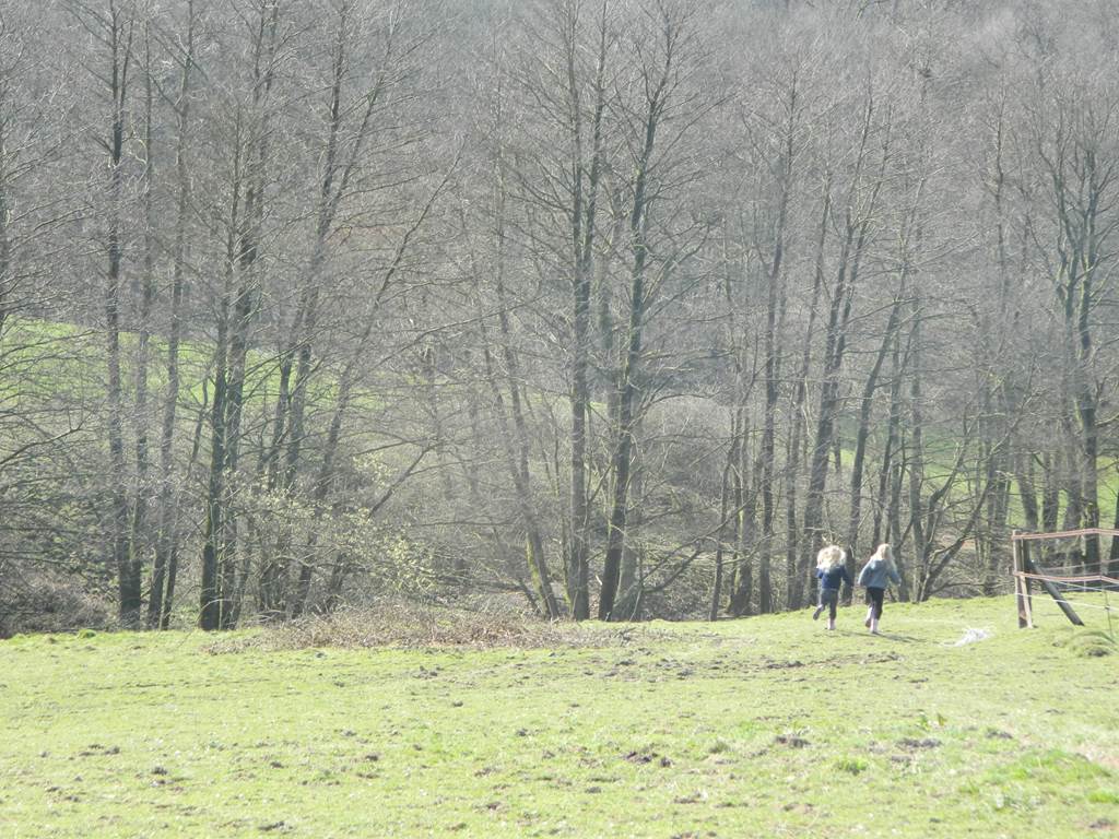 Plaine de jeux de 4 hectares - prairie - bois - étang