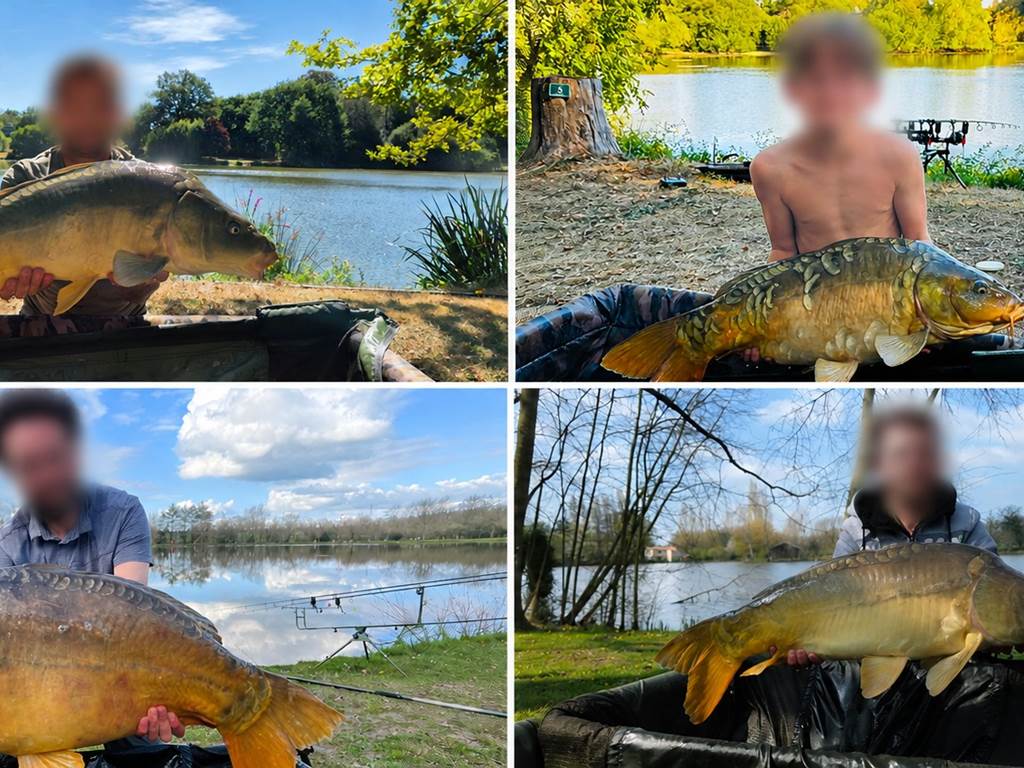 Carpes