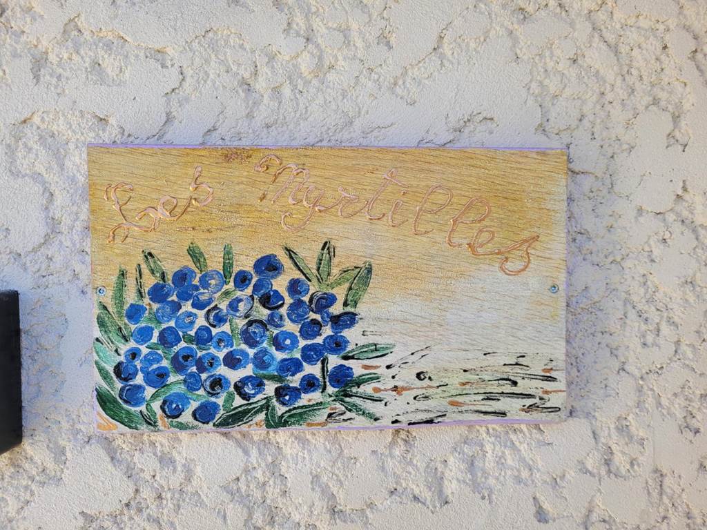 Gîte n°19G4263 "Les Myrtilles" – SORNAC