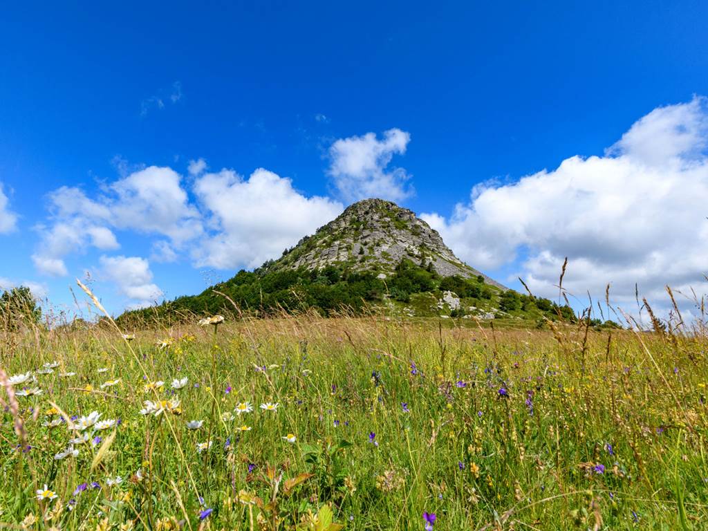 mont gerbier des joncs ardèche ombre bleue  du figuier gîtes et chambres d'hôtes avec piscine