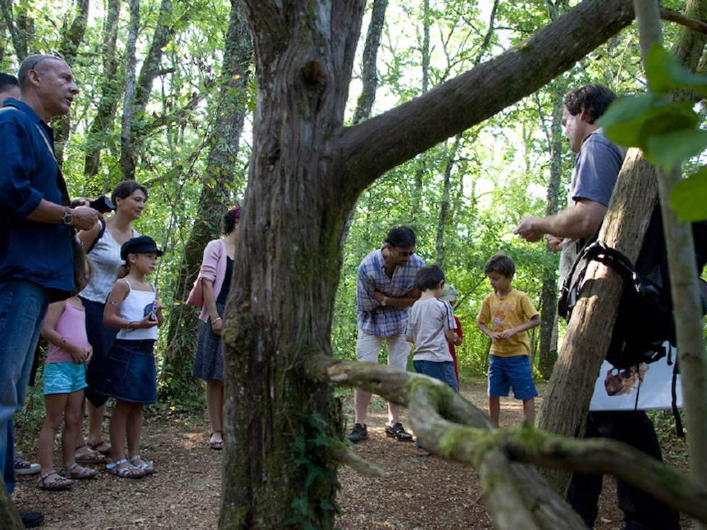 Reprenez contact avec la nature - O. Arsandaux - Lot Tourisme PnrCQ