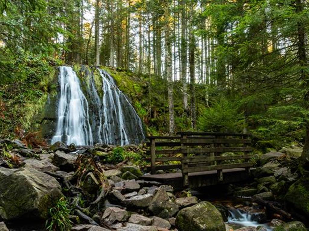 Cascade