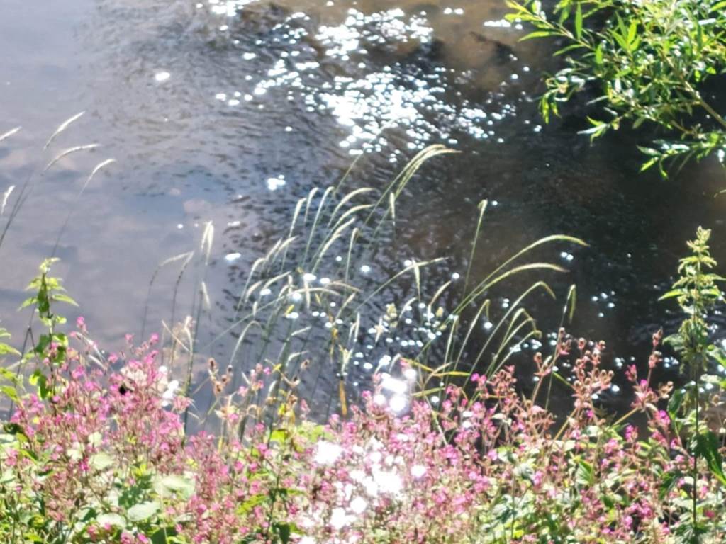 2f974ff7-52ab-46ca-ac19-2dcc9f399c54