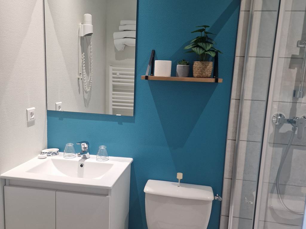 salle d'eau privative- locaplage
