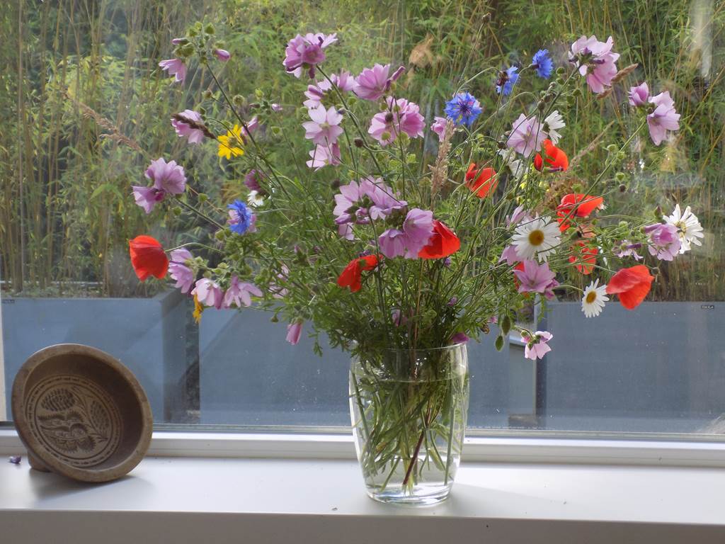 Les-Tilleuls-Bed-Breakfast-a-Vielsalm-Haute-Ardenne-interieur