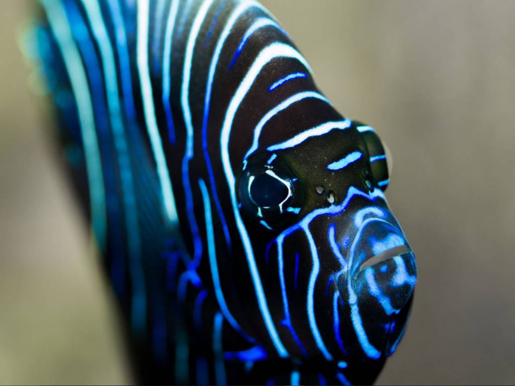 AQUARIUM DU LIMOUSIN A LIMOGES