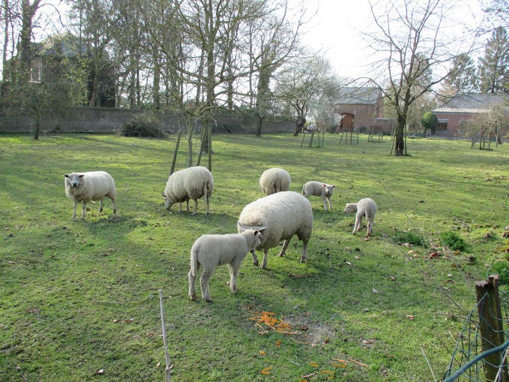les voisins