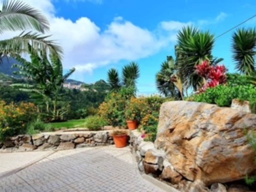 Jardin