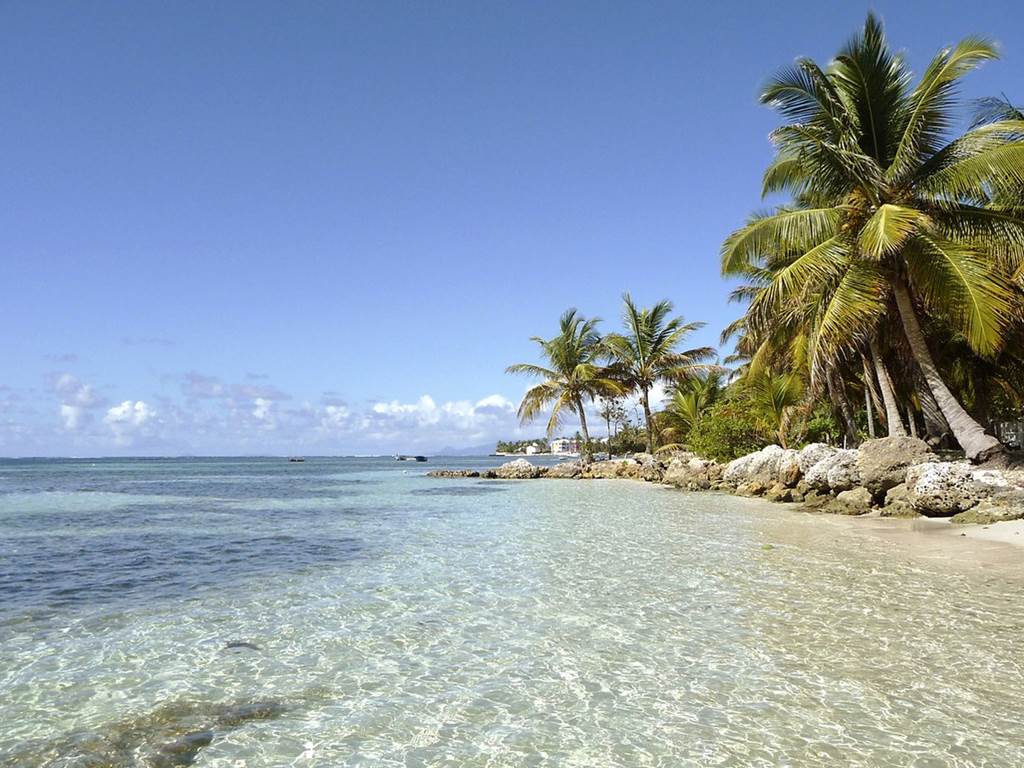 plage-sainte-anne-guadeloupe