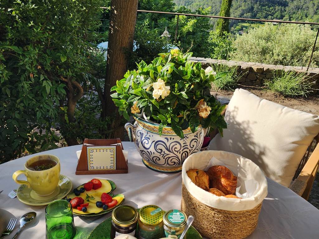 Petit-déjeuner au jardin