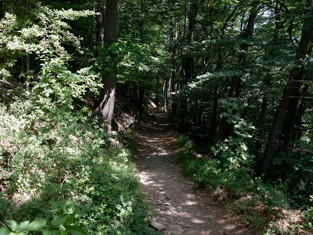 Chemin de promenade