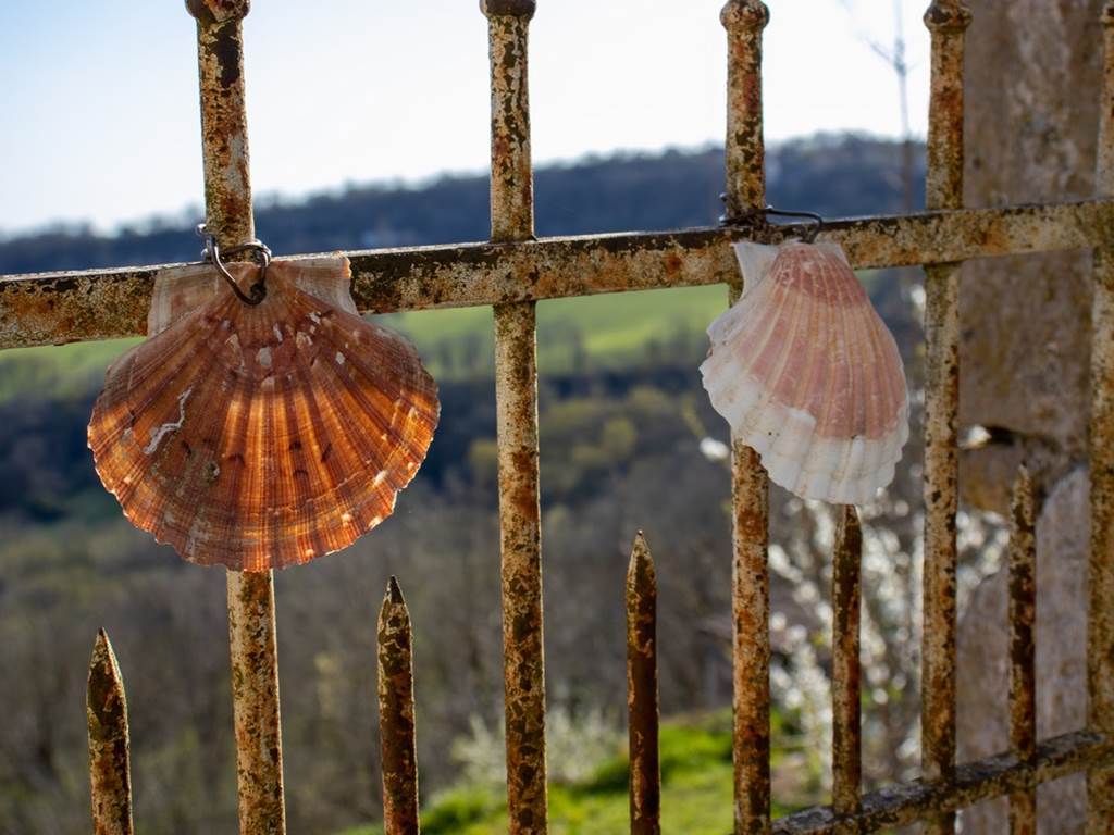 210328174821 Coquille sur le chemin de St Jacques - Faycelles Lot Tourisme- C. Asquier