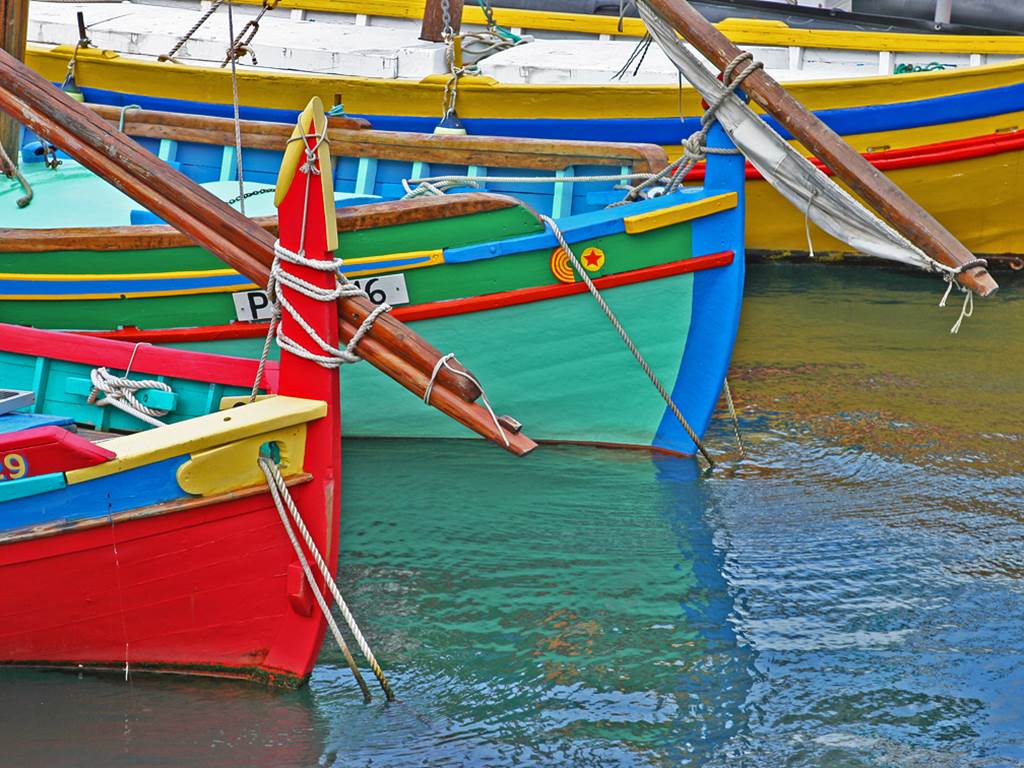 Les barques catalanes de Collioure
