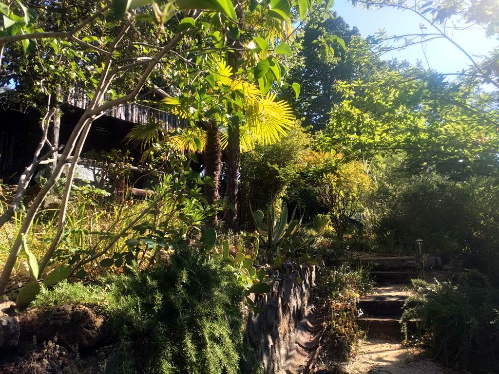 Le Jardin