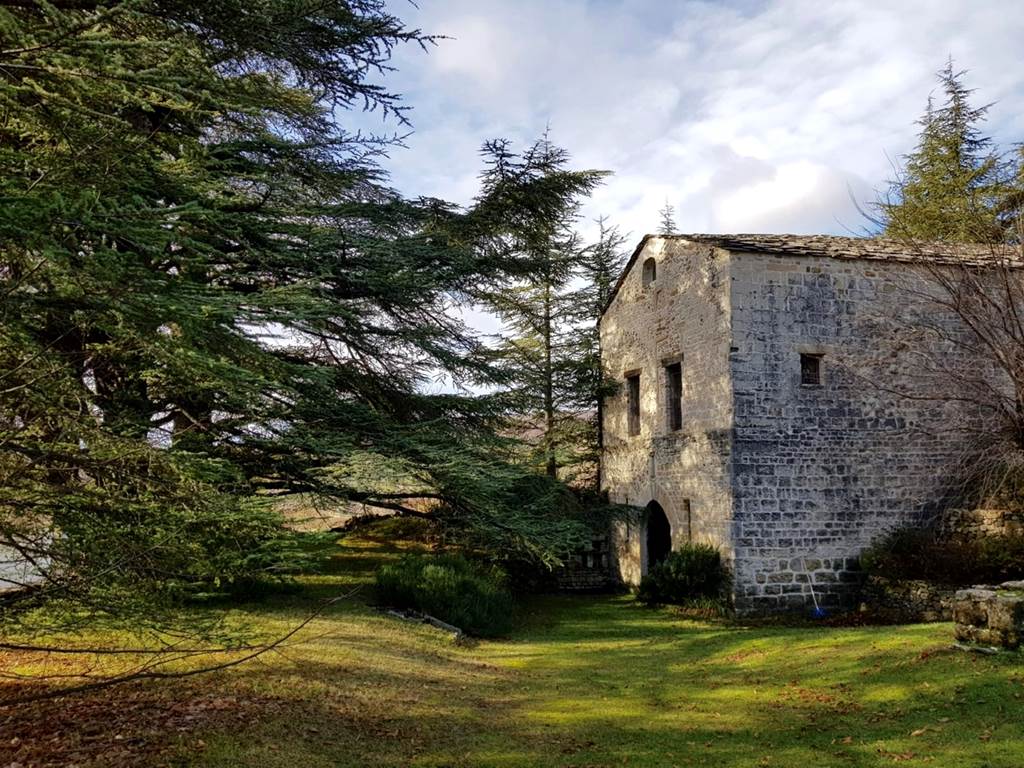 Sur le terrain le Cellier de l'Abbaye de Lure du XIIe siécle