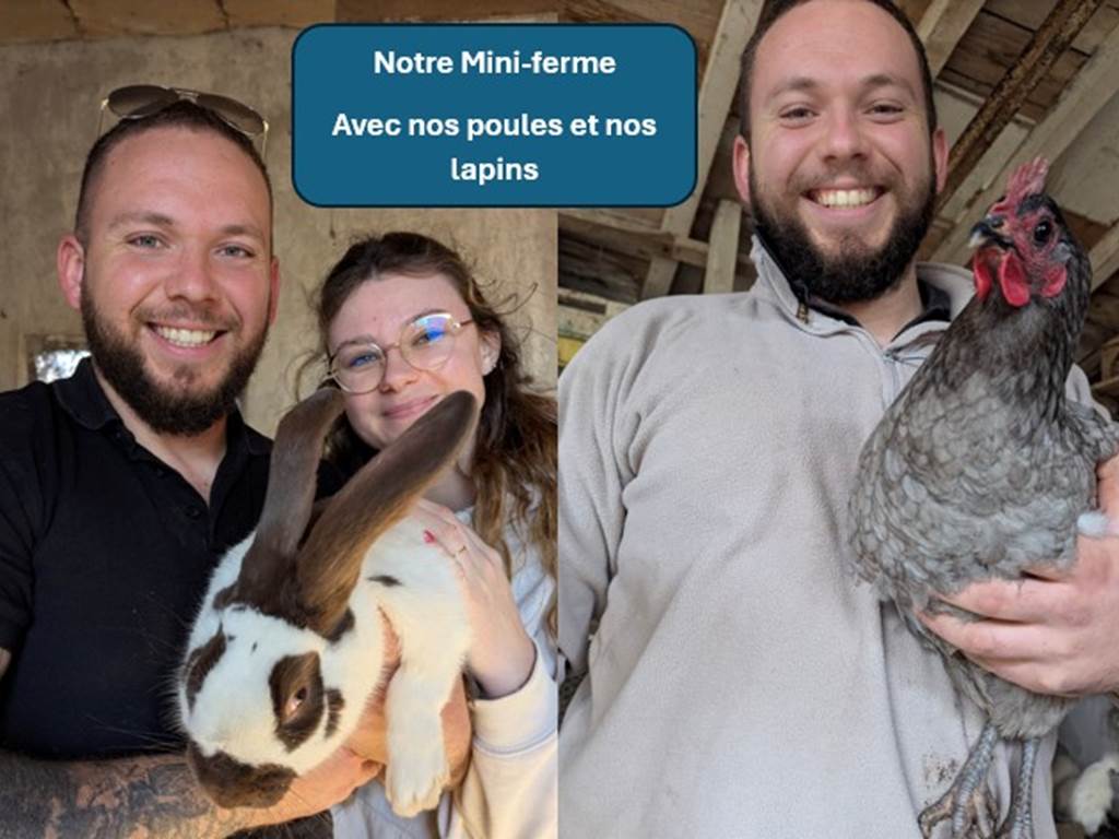 mini-ferve-avec-poules-et-lapins