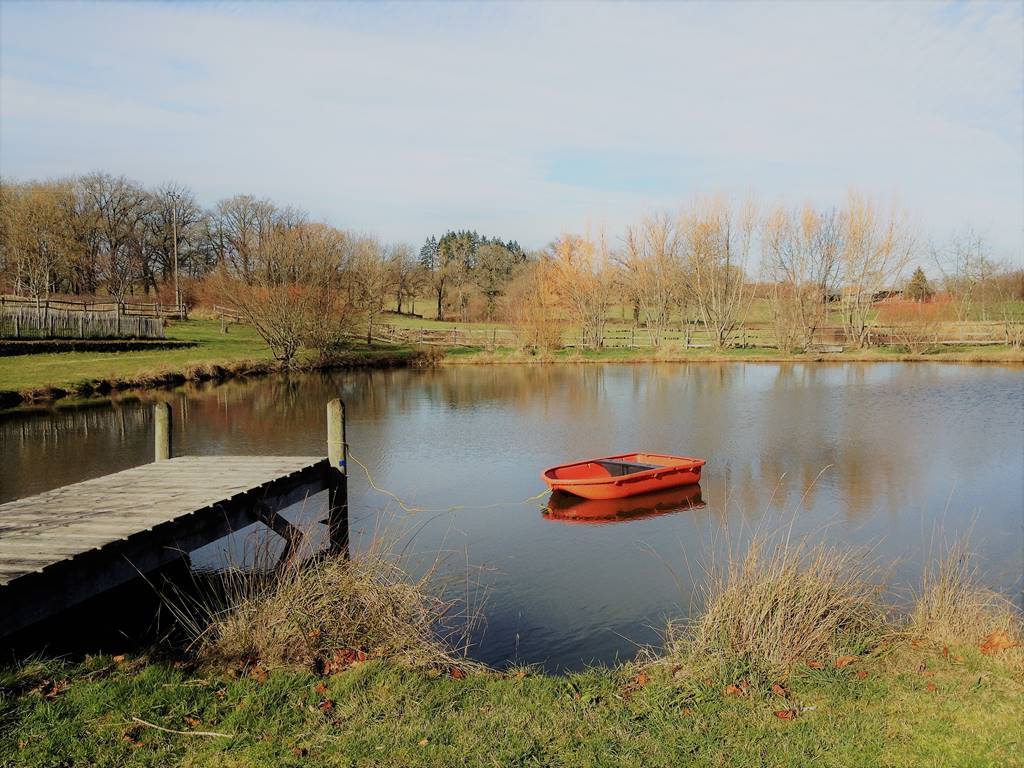 Le petit étang de pêche du Domaine de Louveraude