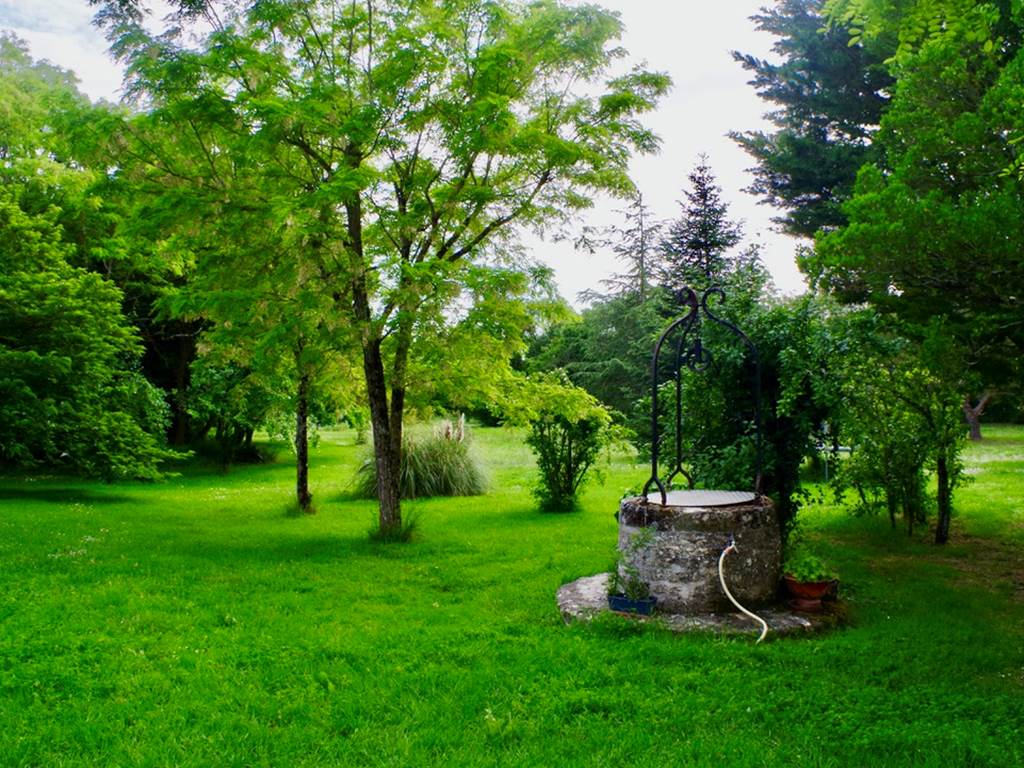 43CA87D3-4950-4484-9E7E-CDBEA6FB215F_1_105_c