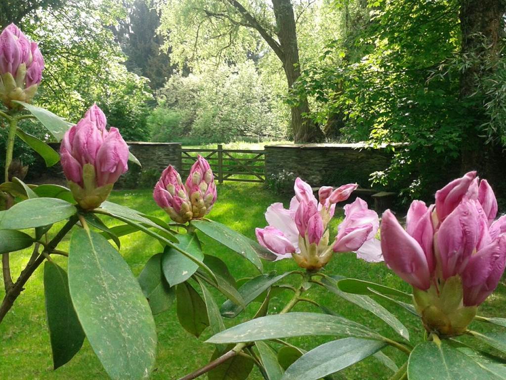 Les-Tilleuls-Bed-Breakfast-a-Vielsalm-exterieur