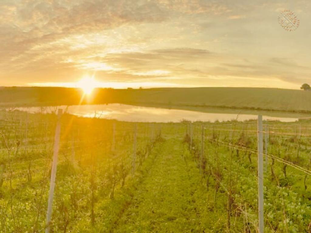 Domaine Laougué - hiver