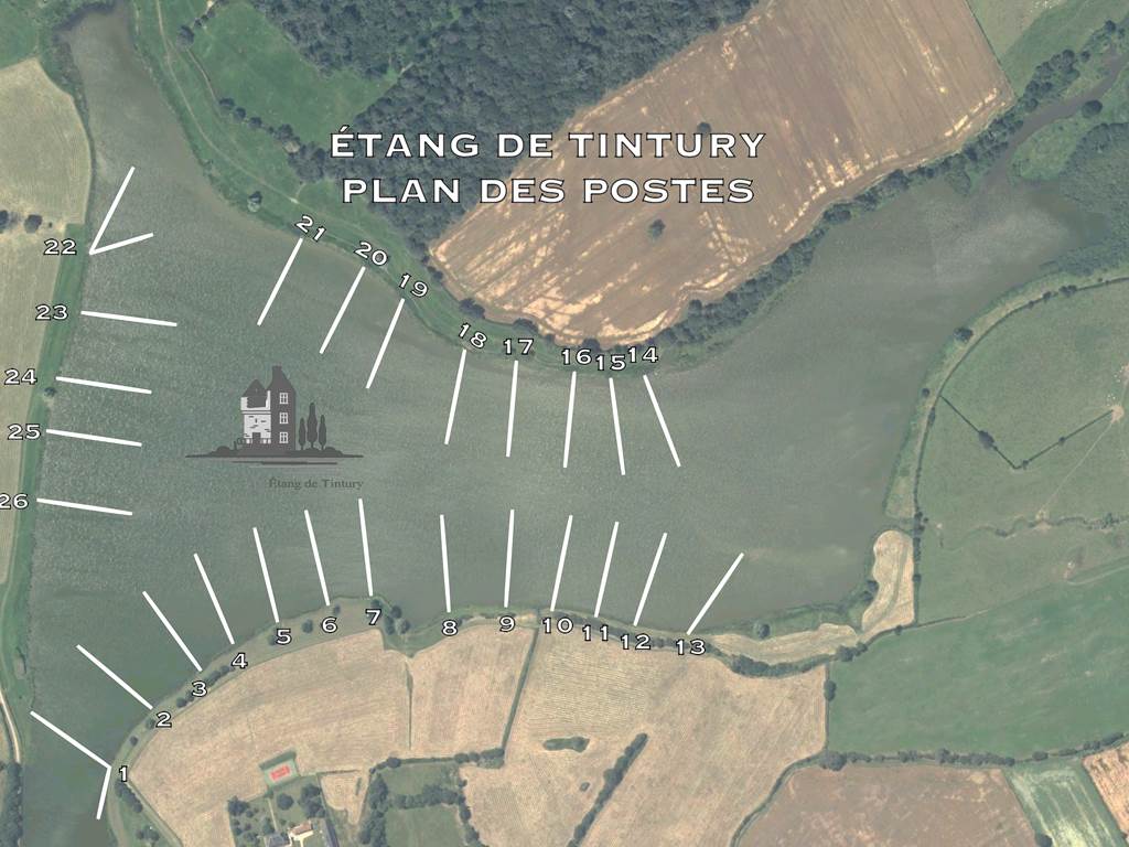 @carpe @pêche @étang @nièvre @tintury @session