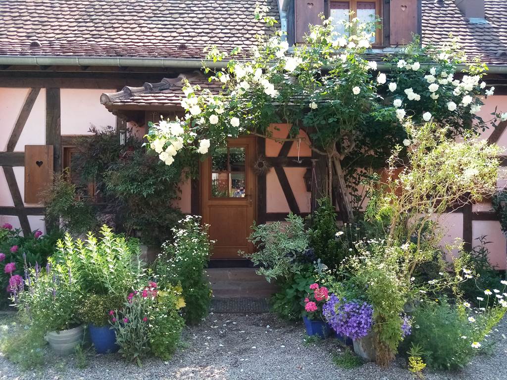 L'entrée fleurie de la maison