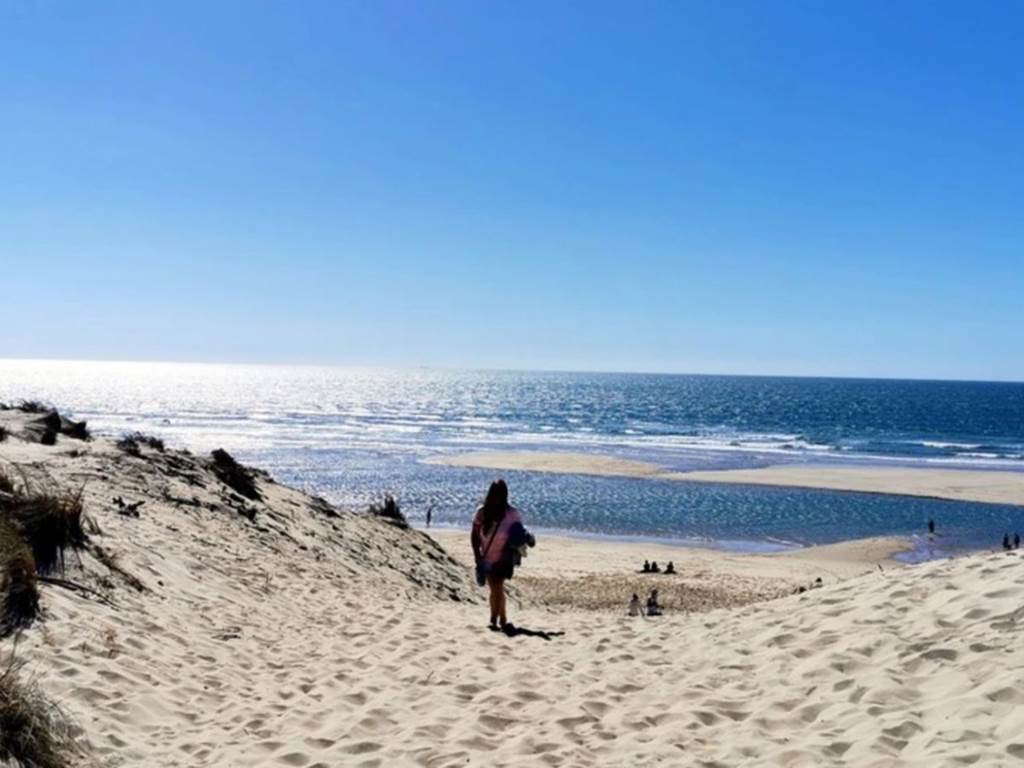 plage de la côte sauvage