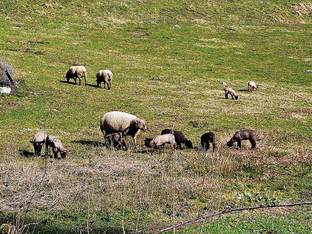 CAMPAGNE4