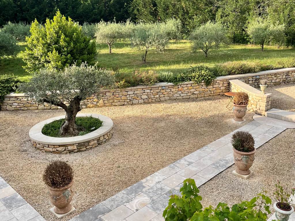 Les oliviers de la Serre des Mourgues