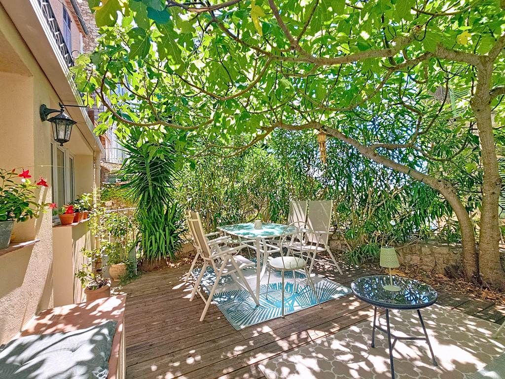 Tonnelle naturelle : figuier